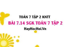 Bài 7.14 SGK Toán 7 tập 2 Kết nối tri thức